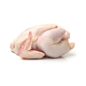 poulet de chair