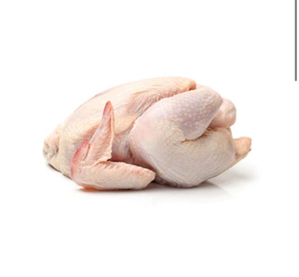 poulet de chair